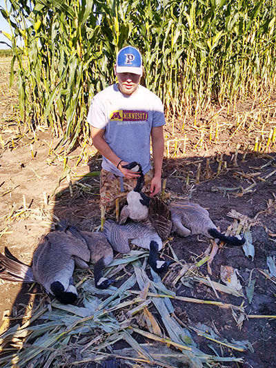 KrisHanson_CanadaGeese